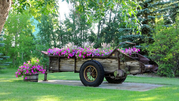 Cart in Devonian Park