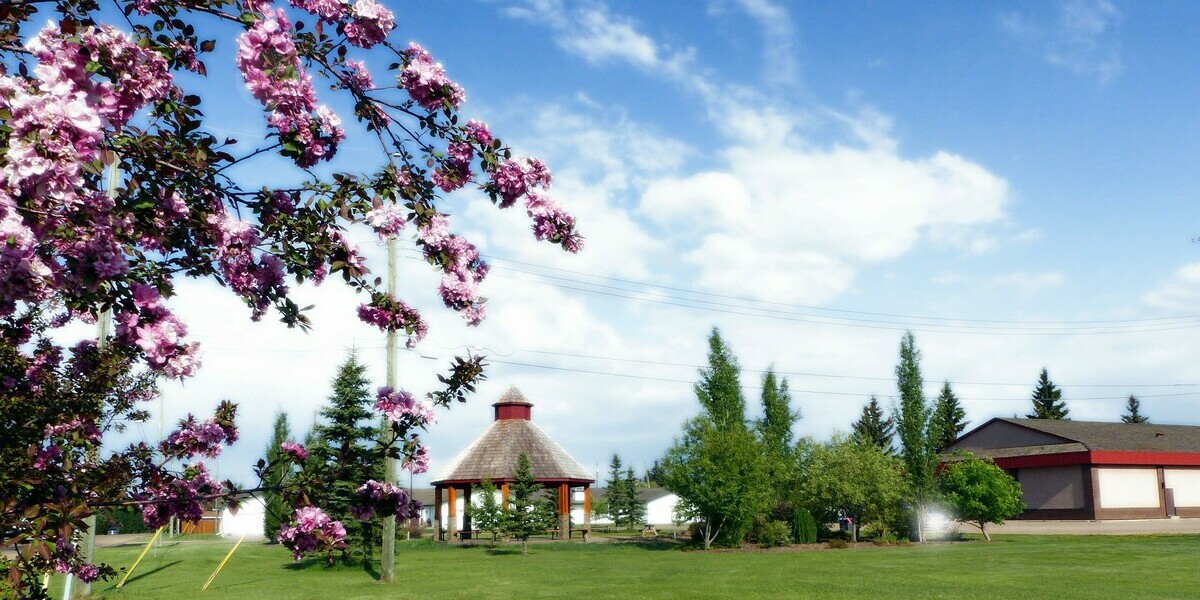 Gazebo in park